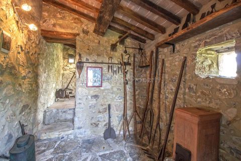 Farm hus i Montemassi, Grosseto, Montemassi - € 1.400.000 | Ref: D45-479343 - foto 40