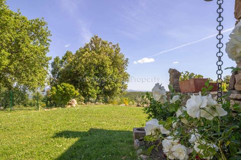 Farm hus i Montemassi, Grosseto, Montemassi - € 1.400.000 | Ref: D45-479343 - foto 42