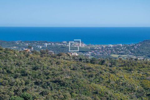 Villa i Platja D'aro, Gerona, Platja D'aro - € 3.250.000 | Ref: PDA58835 - foto 17