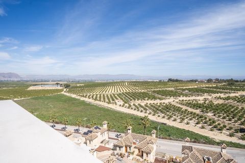 Villa i Algorfa, Alicante, Algorfa - € 528.000 | Ref: RSL-13860 - foto 25