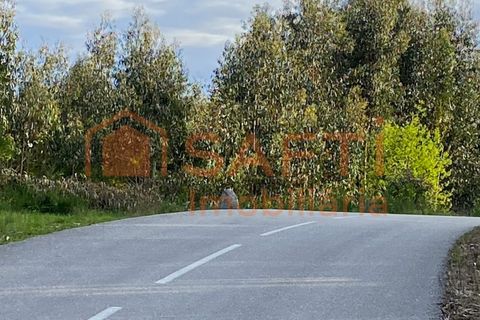 Helårsgrund i Tondela, Viseu, Tondela - € 40.000 | Ref: SAFTI:006599 - foto 2