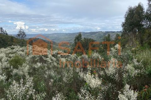 Helårsgrund i Tondela, Viseu, Tondela - € 40.000 | Ref: SAFTI:006599 - foto 3