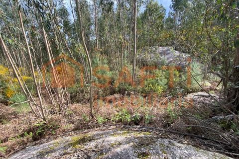 Helårsgrund i Tondela, Viseu, Tondela - € 40.000 | Ref: SAFTI:006599 - foto 4