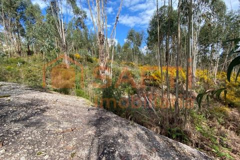 Helårsgrund i Tondela, Viseu, Tondela - € 40.000 | Ref: SAFTI:006599 - foto 5