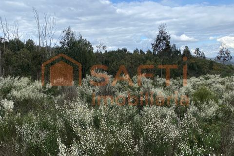 Helårsgrund i Tondela, Viseu, Tondela - € 40.000 | Ref: SAFTI:006599 - foto 6