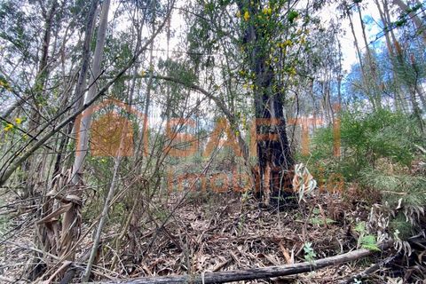 Helårsgrund i Tondela, Viseu, Tondela - € 40.000 | Ref: SAFTI:006599 - foto 8