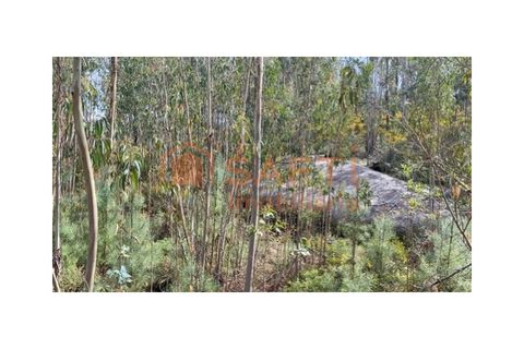 Helårsgrund i Tondela, Viseu, Tondela - € 40.000 | Ref: SAFTI:006599 - foto 9