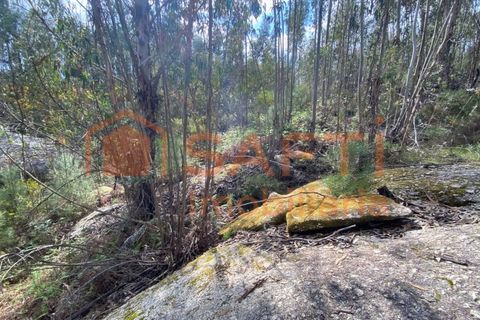 Helårsgrund i Tondela, Viseu, Tondela - € 40.000 | Ref: SAFTI:006599 - foto 10