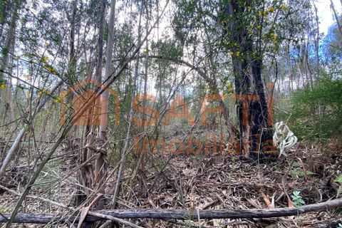 Helårsgrund i Tondela, Viseu, Tondela - € 40.000 | Ref: SAFTI:006599 - foto 11