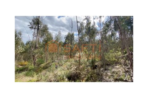 Helårsgrund i Tondela, Viseu, Tondela - € 40.000 | Ref: SAFTI:006599 - foto 12