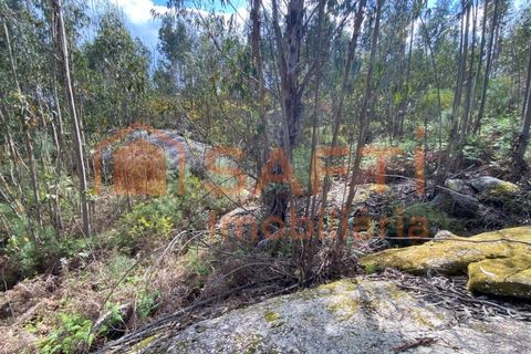 Helårsgrund i Tondela, Viseu, Tondela - € 40.000 | Ref: SAFTI:006599 - foto 13