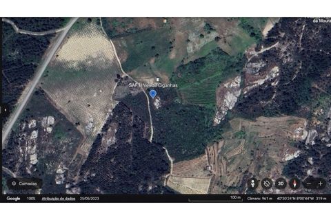 Helårsgrund i Tondela, Viseu, Tondela - € 40.000 | Ref: SAFTI:006599 - foto 14