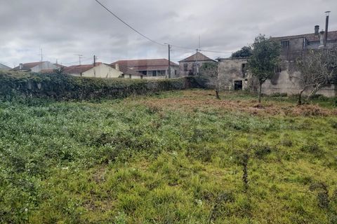 Helårsgrund i Darque, Viana do Castelo, Darque - € 519.000 | Ref: UNU-F3-70-36 - foto 5