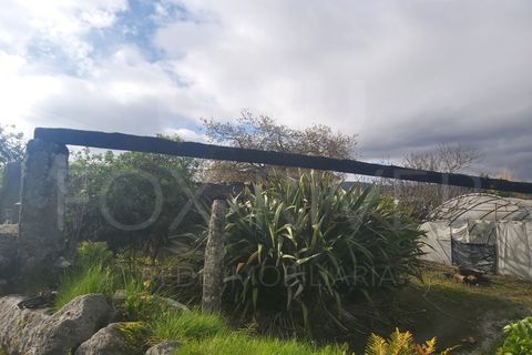 Helårsgrund i Darque, Viana do Castelo, Darque - € 67.000 | Ref: UNU-F3-70-33 - foto 6