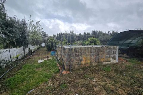 Villa a Tabua, Coimbra, Tabua - € 575.000 | Ref: WISEOHSC-QU748 - foto 41