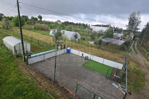 Villa a Tabua, Coimbra, Tabua - € 575.000 | Ref: WISEOHSC-QU748 - foto 43