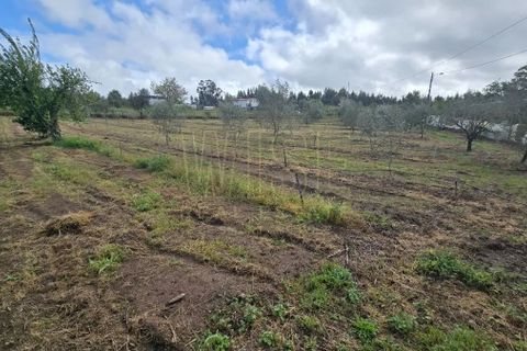 Villa a Tabua, Coimbra, Tabua - € 575.000 | Ref: WISEOHSC-QU748 - foto 44