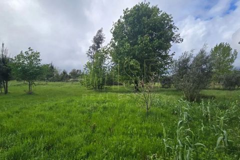 Villa a Tabua, Coimbra, Tabua - € 575.000 | Ref: WISEOHSC-QU748 - foto 45