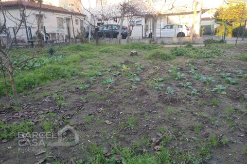 Villa i Barcelos, Braga, Barcelos - € 499.000 | Ref: 22/25 - foto 6