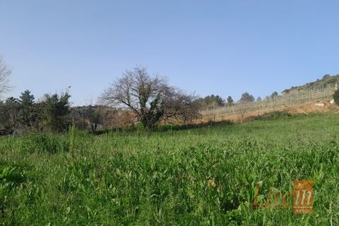 Helårsgrund i Alenquer, Lisbon, Alenquer - € 40.000 | Ref: 9603MV - foto 2