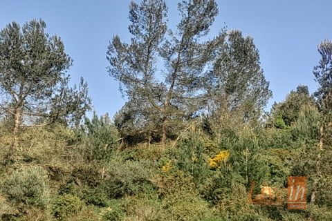 Helårsgrund i Alenquer, Lisbon, Alenquer - € 40.000 | Ref: 9603MV - foto 4