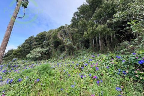 Helårsgrund i Posto Santo, Terceira, Posto Santo - € 120.000 | Ref: TER_855 - foto 6