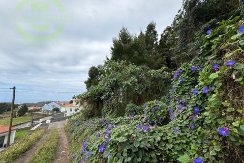 Helårsgrund i Posto Santo, Terceira, Posto Santo - € 120.000 | Ref: TER_855 - foto 7