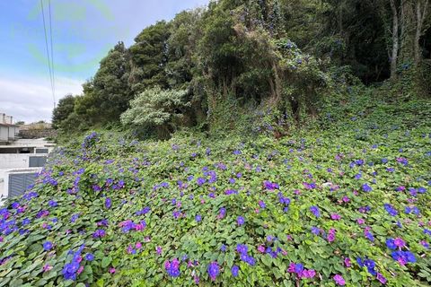 Helårsgrund i Posto Santo, Terceira, Posto Santo - € 120.000 | Ref: TER_855 - foto 8