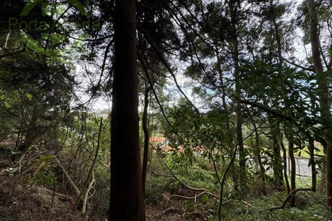 Helårsgrund i Posto Santo, Terceira, Posto Santo - € 120.000 | Ref: TER_855 - foto 10