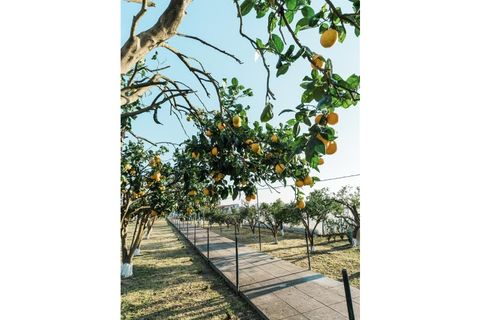 Villa a Folgosa, Porto, Folgosa - € 1.290.000 | Ref: 2025-048 - foto 34