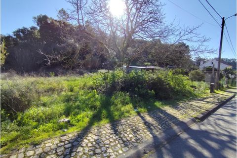 Helårsgrund i Coimbra, Coimbra, Coimbra - € 150.000 | Ref: KWPT-013273 - foto 2