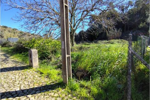 Helårsgrund i Coimbra, Coimbra, Coimbra - € 150.000 | Ref: KWPT-013273 - foto 3