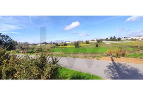 Terra a Cortico da Serra, Guarda, Cortico da Serra - € 40.000 | Ref: KWPT-012568 - foto 2