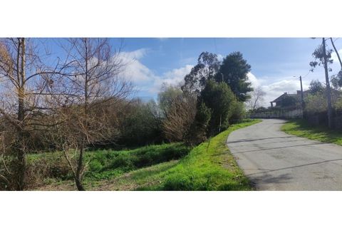 Terra a Cortico da Serra, Guarda, Cortico da Serra - € 40.000 | Ref: KWPT-012568 - foto 3