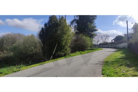Terra a Cortico da Serra, Guarda, Cortico da Serra - € 40.000 | Ref: KWPT-012568 - foto 4