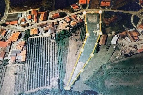 Helårsgrund i Alcobaca, Leiria, Alcobaca - € 85.000 | Ref: 1739-01939 - foto 1