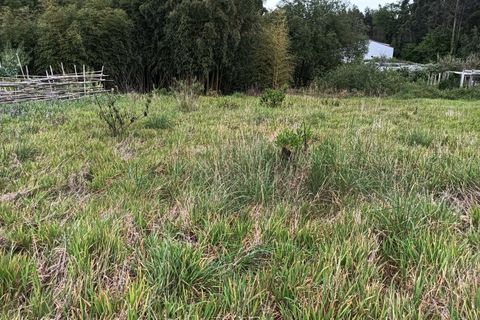 Helårsgrund i Ilhavo, Aveiro, Ilhavo - € 85.000 | Ref: AV25/059 - foto 2
