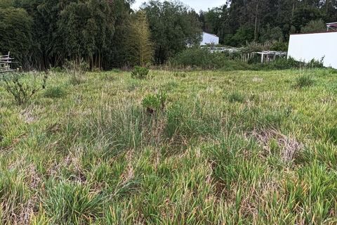 Helårsgrund i Ilhavo, Aveiro, Ilhavo - € 85.000 | Ref: AV25/059 - foto 4