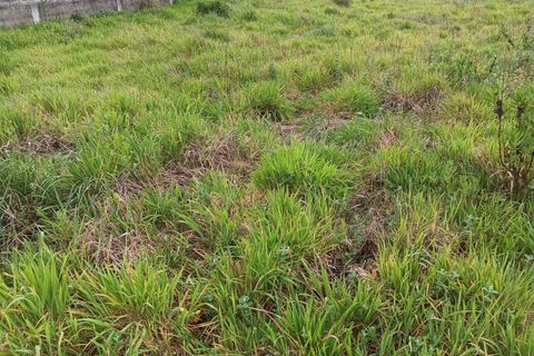 Helårsgrund i Ilhavo, Aveiro, Ilhavo - € 85.000 | Ref: AV25/059 - foto 7