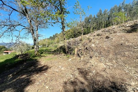 Helårsgrund i Caminha, Viana do Castelo, Caminha - € 140.000 | Ref: 2617 - foto 8