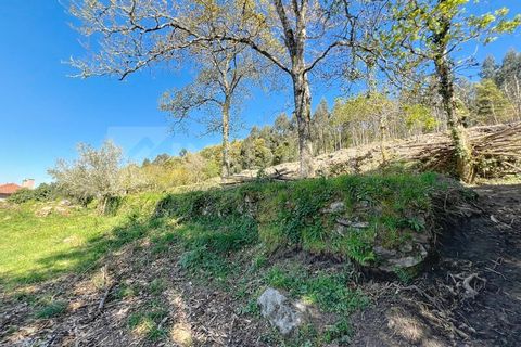 Helårsgrund i Caminha, Viana do Castelo, Caminha - € 140.000 | Ref: 2617 - foto 9