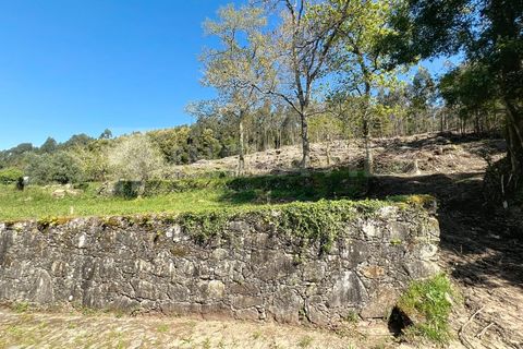 Helårsgrund i Caminha, Viana do Castelo, Caminha - € 140.000 | Ref: 2617 - foto 10