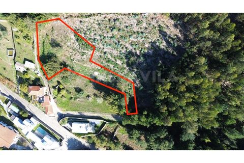 Helårsgrund i Caminha, Viana do Castelo, Caminha - € 140.000 | Ref: 2617 - foto 2