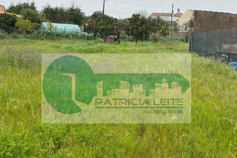 Villa i Azambuja, Lisbon, Azambuja - € 250.000 | Ref: MOR/TERR_012025 - foto 5