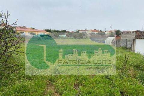Villa i Azambuja, Lisbon, Azambuja - € 250.000 | Ref: MOR/TERR_012025 - foto 6