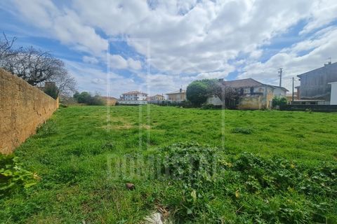 Helårsgrund i Agueda, Aveiro, Agueda - € 140.000 | Ref: 2066 - foto 1