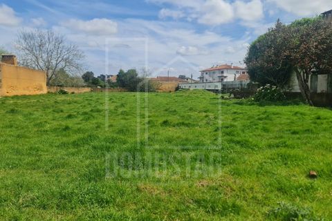 Helårsgrund i Agueda, Aveiro, Agueda - € 140.000 | Ref: 2066 - foto 3