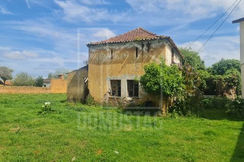 Helårsgrund i Agueda, Aveiro, Agueda - € 140.000 | Ref: 2066 - foto 4