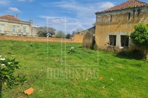 Helårsgrund i Agueda, Aveiro, Agueda - € 140.000 | Ref: 2066 - foto 5