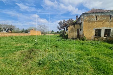 Helårsgrund i Agueda, Aveiro, Agueda - € 140.000 | Ref: 2066 - foto 6